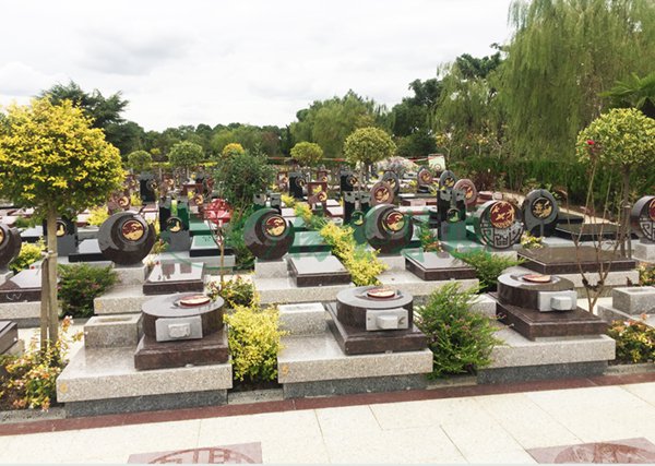 1-2202240Z351A9 Å·²©abg - ¹Ù·½ÍøÖ·µÇ¼Èë¿Ú