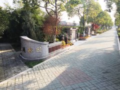 һƽ̬ᣬȻϢվεѡ